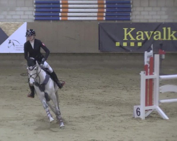 Reitturnier Oelde 2024