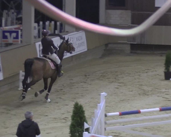 Reitturnier Oelde 2024
