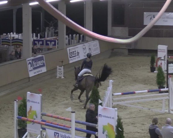 Reitturnier Oelde 2024