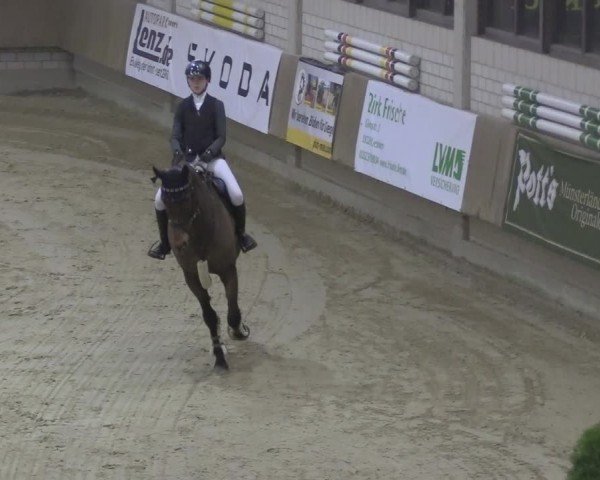 Reitturnier Oelde 2024