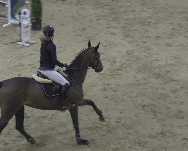 Reitturnier Oelde 2024