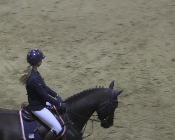 Reitturnier Oelde 2024