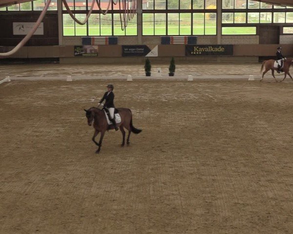 Reitturnier Oelde 2024