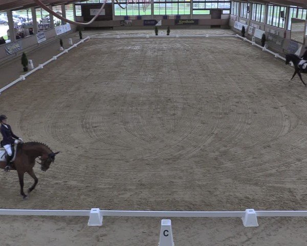 Reitturnier Oelde 2024