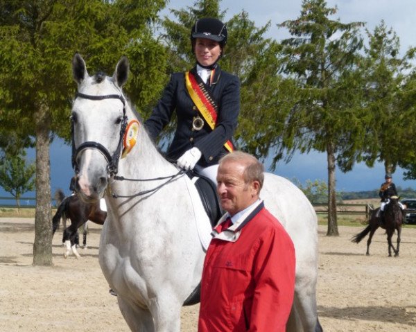 dressage horse Clintaro's Boy (Zweibrücken, 2009, from Clintaro)