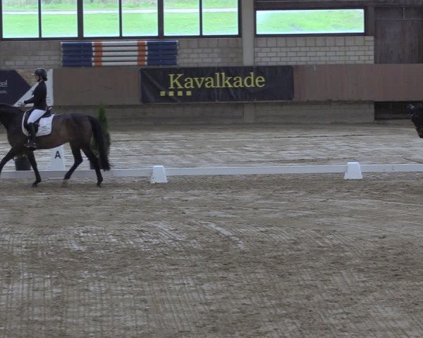 Reitturnier Oelde 2024