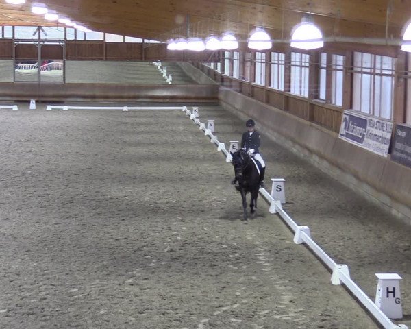 Dressurturnier mit Hallenchampionat Tremsdorf, Eichenhof 2021