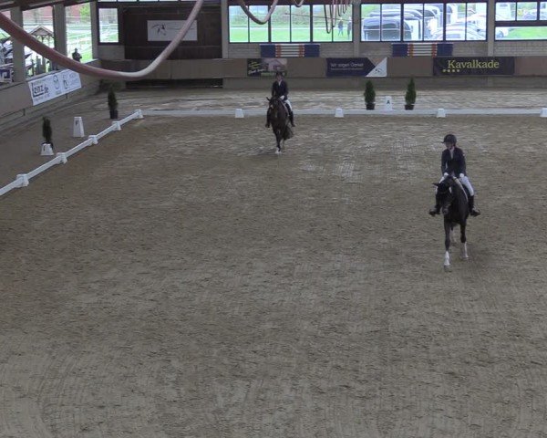 Reitturnier Oelde 2024