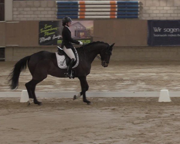 Reitturnier Oelde 2024