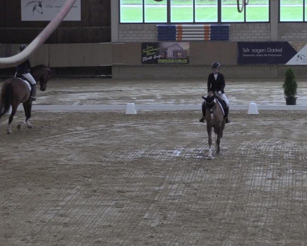 Reitturnier Oelde 2024