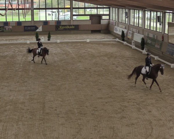 Reitturnier Oelde 2024
