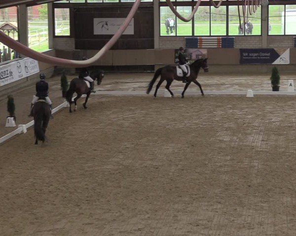 Reitturnier Oelde 2024