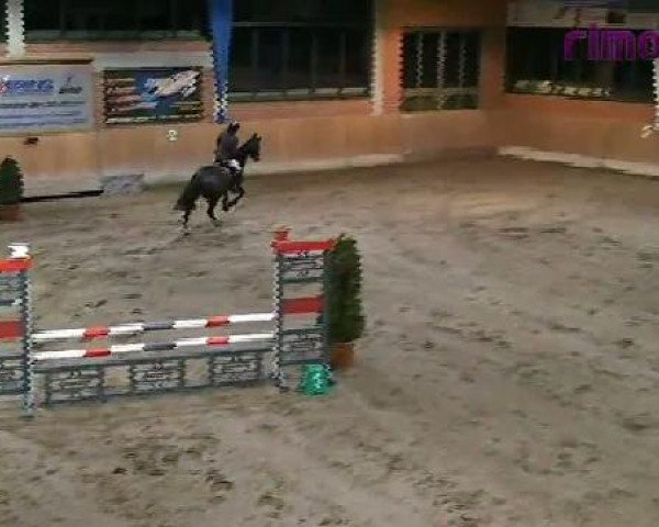 Heiden 2011