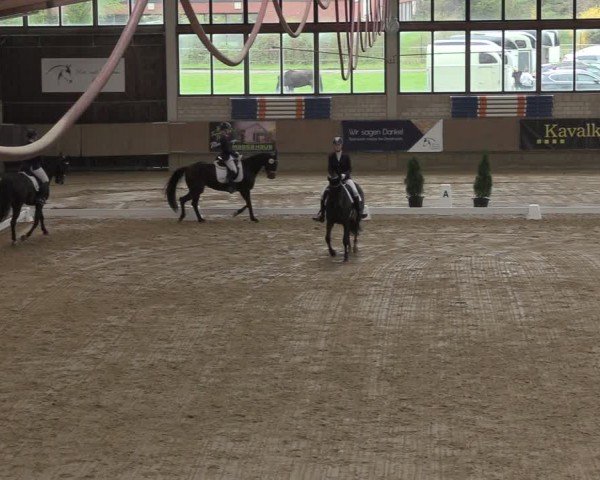 Reitturnier Oelde 2024