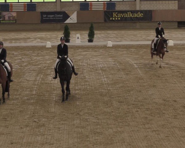 Reitturnier Oelde 2024