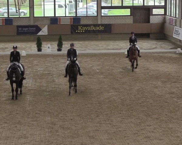 Reitturnier Oelde 2024