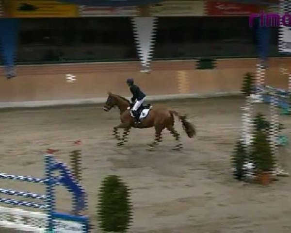 Heiden 2011