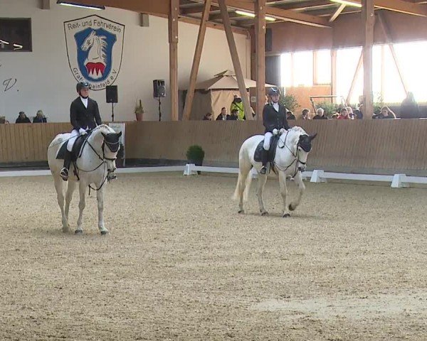 Reitturnier Grafenrheinfeld/Ufr. 2024