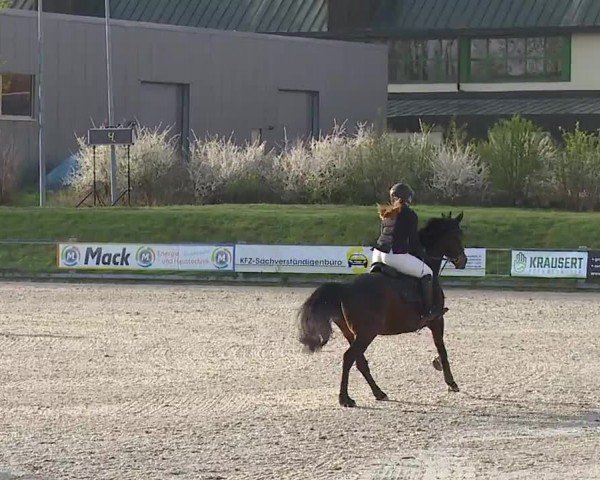 Reitturnier Grafenrheinfeld/Ufr. 2024