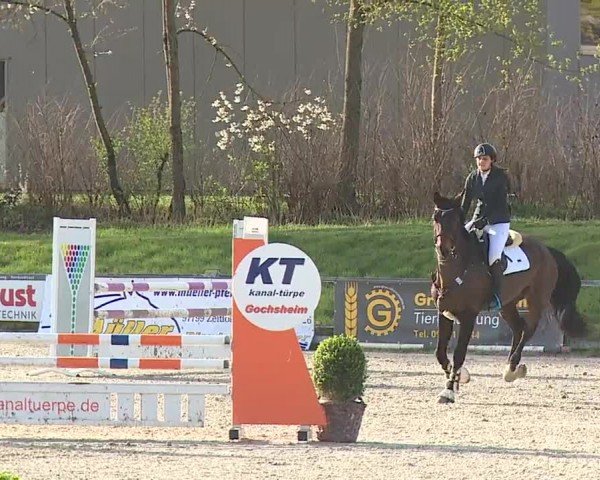 Reitturnier Grafenrheinfeld/Ufr. 2024