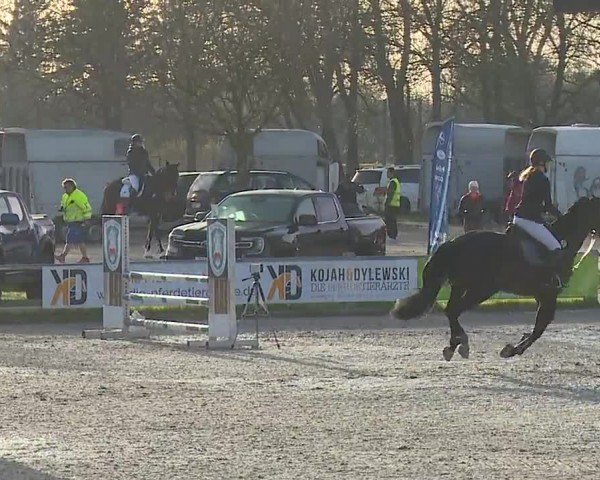 Reitturnier Grafenrheinfeld/Ufr. 2024