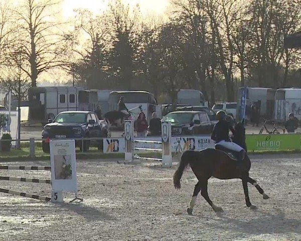 Reitturnier Grafenrheinfeld/Ufr. 2024