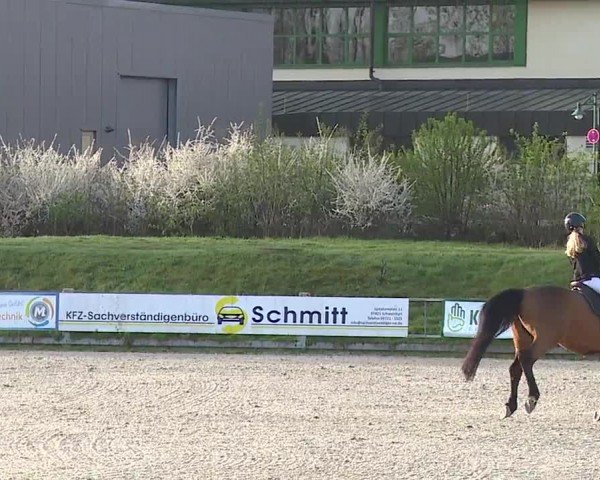Reitturnier Grafenrheinfeld/Ufr. 2024