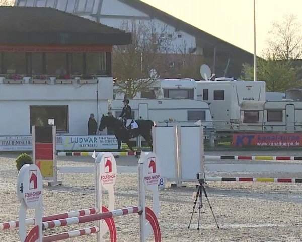 Reitturnier Grafenrheinfeld/Ufr. 2024