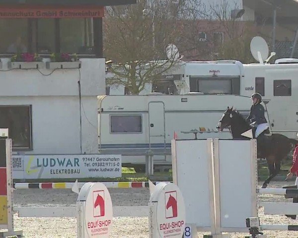 Reitturnier Grafenrheinfeld/Ufr. 2024