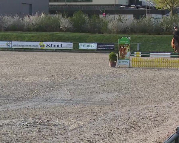 Reitturnier Grafenrheinfeld/Ufr. 2024
