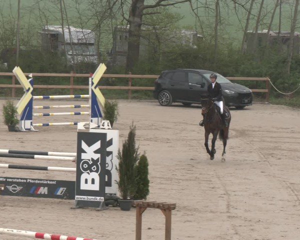 Reitturnier Scharnebeck 2024