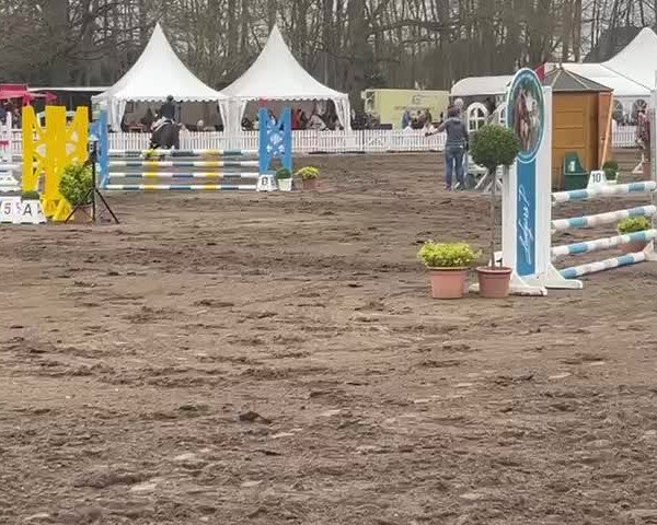 Video von Hanke