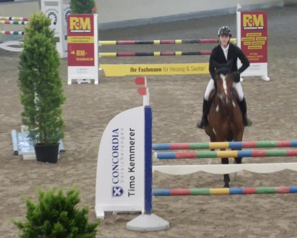 Reitturnier Waghäusel-Wiesental 2024