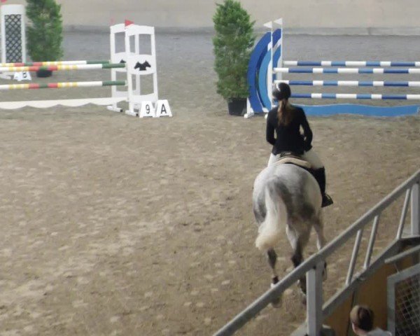 Reitturnier Waghäusel-Wiesental 2024