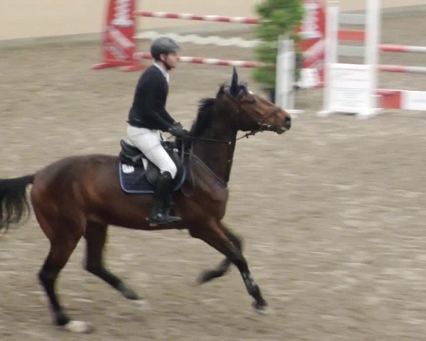 Reitturnier Waghäusel-Wiesental 2024
