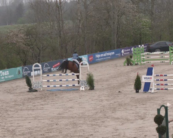 Reitturnier Scharnebeck 2024