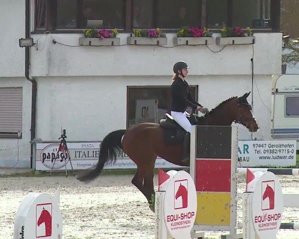 Reitturnier Grafenrheinfeld/Ufr. 2024