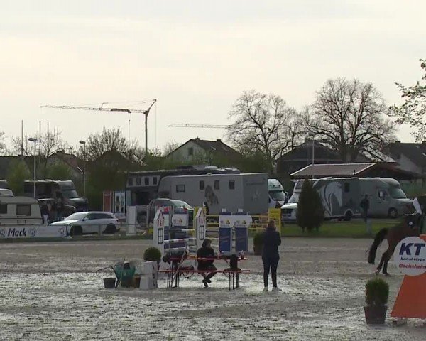 Reitturnier Grafenrheinfeld/Ufr. 2024