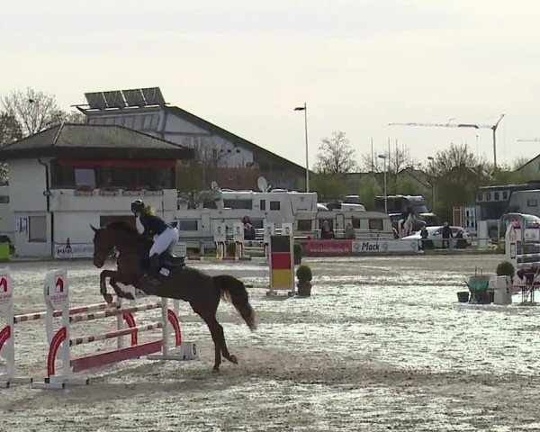 Reitturnier Grafenrheinfeld/Ufr. 2024
