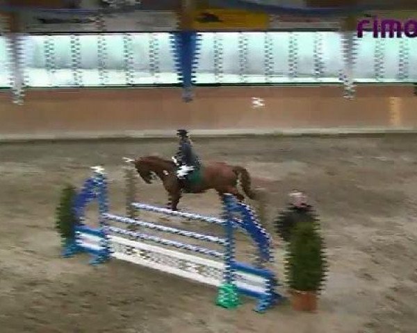 Heiden 2011