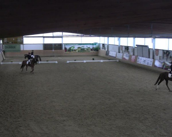 Reitturnier Borgholzhausen-Westbarthausen 2024