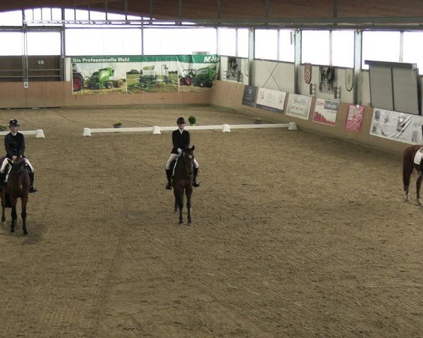 Reitturnier Borgholzhausen-Westbarthausen 2024