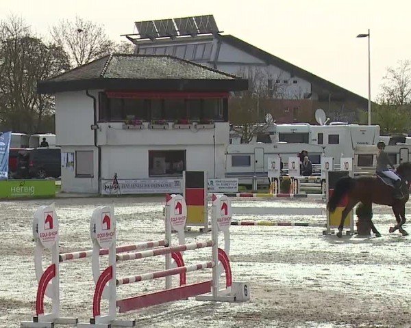 Reitturnier Grafenrheinfeld/Ufr. 2024
