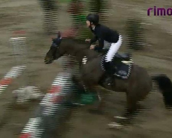 Heiden 2011