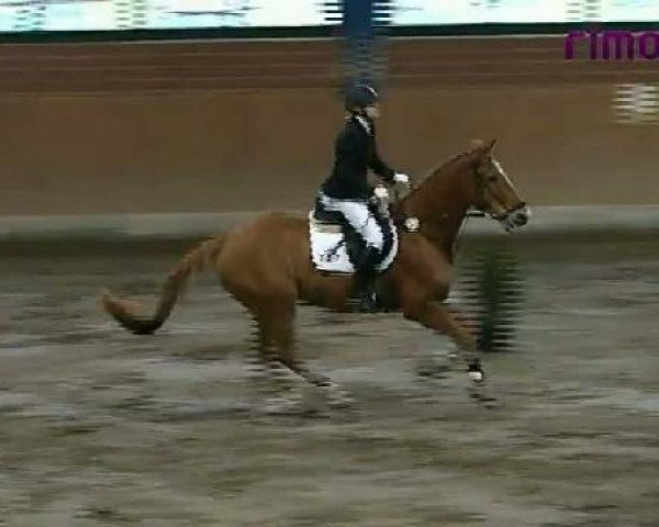 Heiden 2011