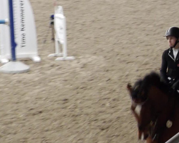 Reitturnier Waghäusel-Wiesental 2024