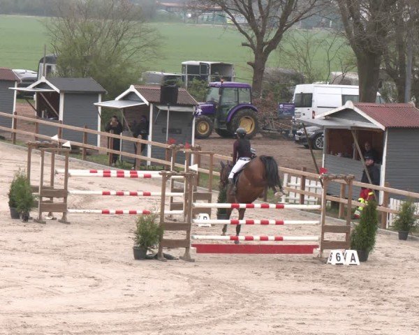 Reitturnier Scharnebeck 2024