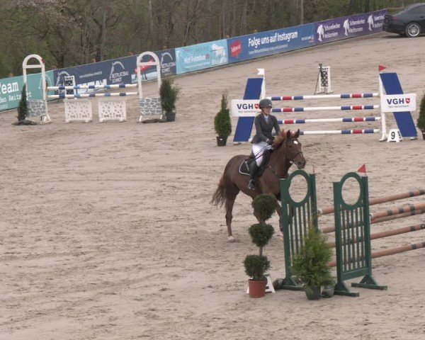 Reitturnier Scharnebeck 2024
