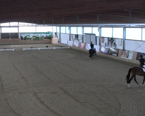 Reitturnier Borgholzhausen-Westbarthausen 2024
