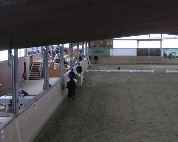 Reitturnier Borgholzhausen-Westbarthausen 2024